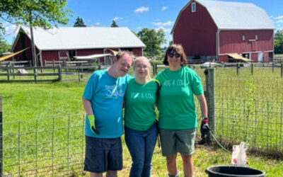 New Friends at the Farm